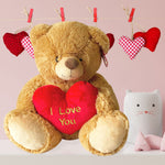 i love you teddy bear - brown - 25cm - sedol gifts (4)