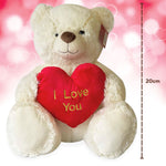 i love you teddy bear - white - 20cm - sedol gifts (5)